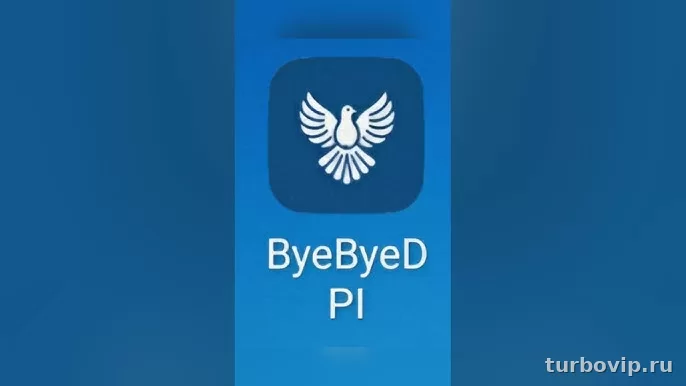 ByeByeDPI на Android: как безопасно скачать APK и правильно настроить